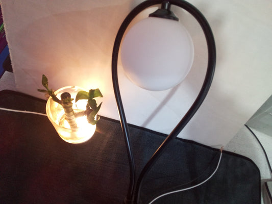 Nordic LED Wall Lamp – Golden Bedside Light for Modern Home Décor